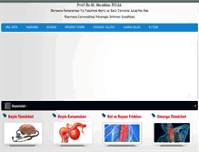 Tablet Screenshot of ibrahimziyal.com